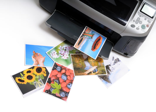 The Best Ink Cartridges for Printing Beautiful Photos